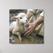 Lam in de modder gered door een herder canvas afdruk (Voorkant)