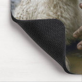 Lam wordt gered door een herder muismat (Hoek)