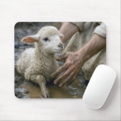 Lam wordt gered door een herder muismat (Met muis)