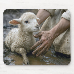Lam wordt gered door een herder muismat