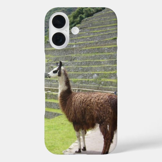 lama 3 Case-Mate iPhone case (Achterkant)