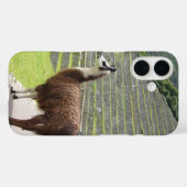 lama 3 Case-Mate iPhone case (Achterkant (horizontaal))