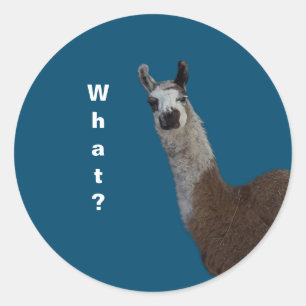 lama Basic donker T-shirt Ronde Sticker