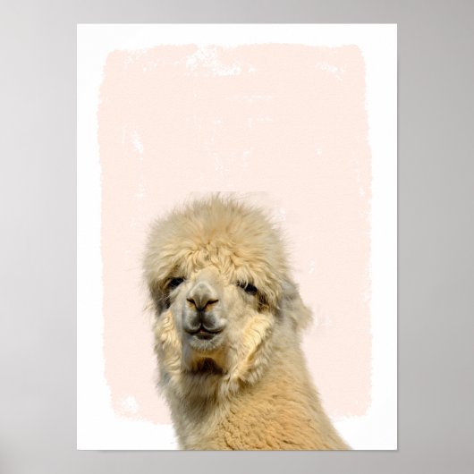lama bekijk een boo-kleuterkunst poster (Voorkant)