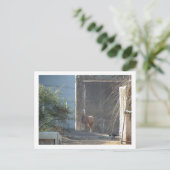 lama briefkaart (Staand voorkant)