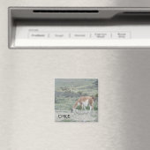 lama chili magneet (Insitu (Vaatwasser))