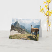 Lama die Ruïnes | Machu Picchu, Peru overzien Kaart (Gele Bloem)
