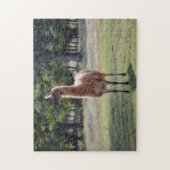 Lama Een Natuurpuzzel voor Poseer Dieren Legpuzzel (Verticaal)