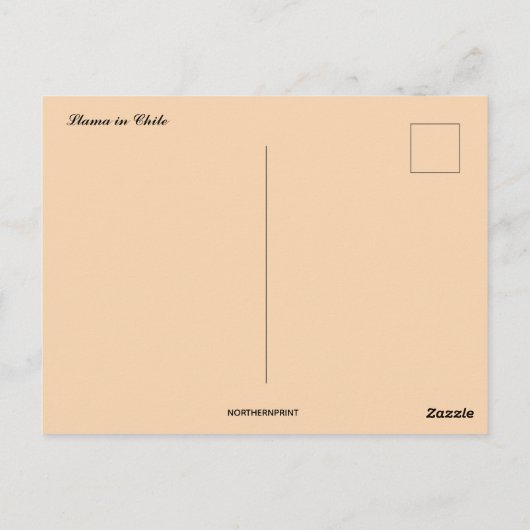 Lama in Chili Briefkaart (Achterkant)