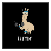 Lama in de sportschool - gewichtheffen