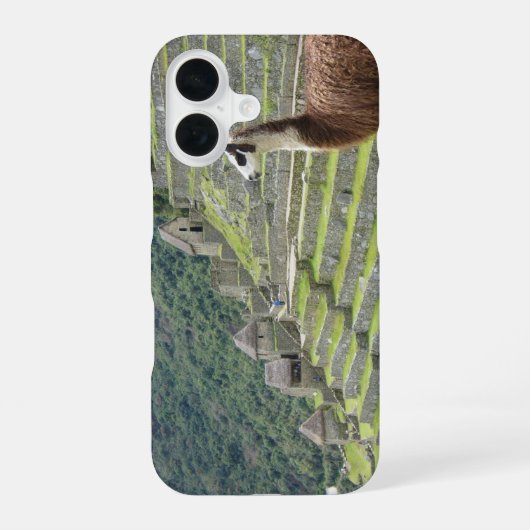 lama iPhone 16 hoesje (Achterkant)