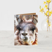 Lama Kaart (Gele Bloem)