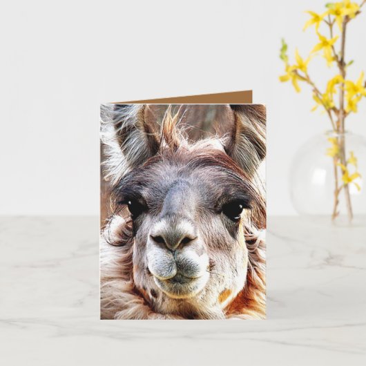 Lama Kaart (Gele Bloem)