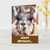 Lama Kaart (Gele Bloem)