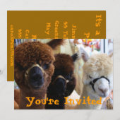 Lama Lama Uitnodiging (Voorkant / Achterkant)