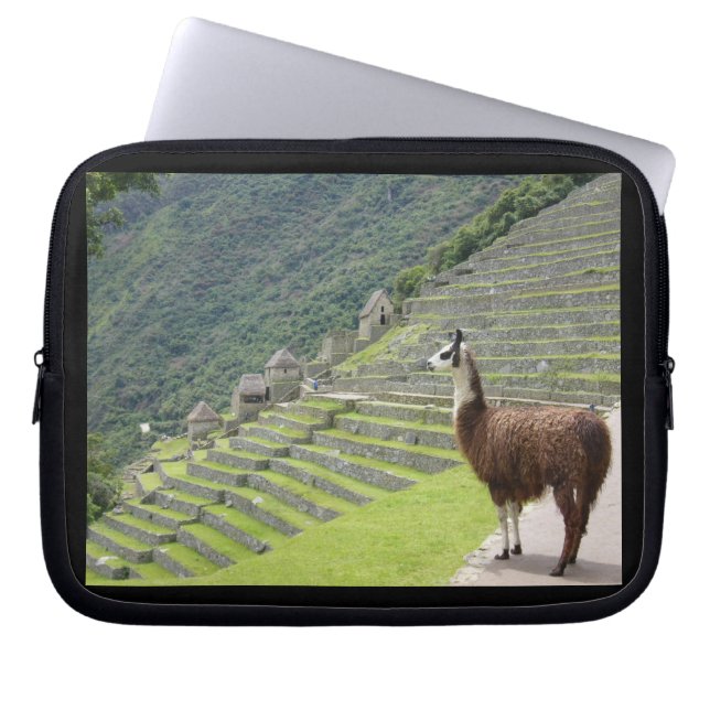 lama laptop sleeve (Voorkant)