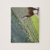 lama legpuzzel (Verticaal)