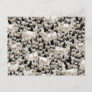 Lama, Llama Briefkaart