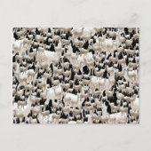 Lama, Llama Briefkaart (Voorkant)