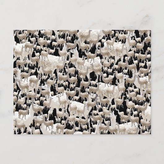 Lama, Llama Briefkaart (Voorkant)