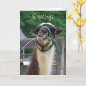 Lama Llunch, Groeten Kaart (Gele Bloem)