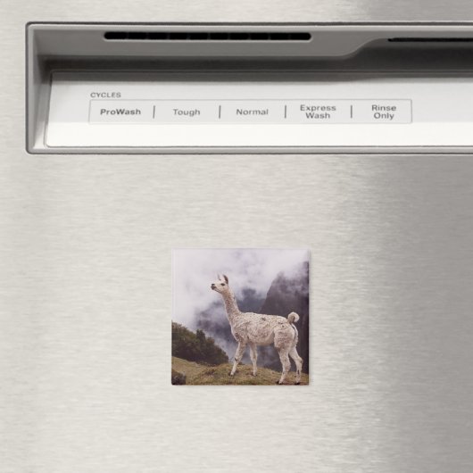 Lama Machu Picchu, Peru Magneet (Insitu (Vaatwasser))