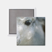 Lama Magneet (Voorkant / Achterkant)