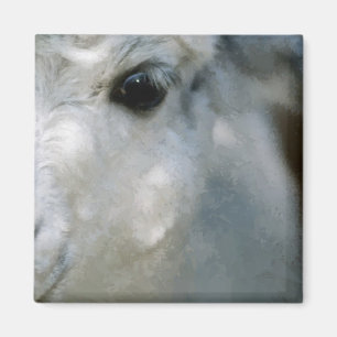 Lama Magneet