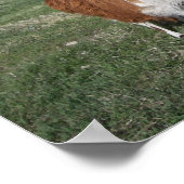 Lama Mama en Llama Baby Poster (Hoek)