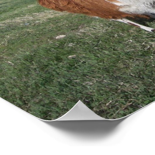 Lama Mama en Llama Baby Poster (Hoek)