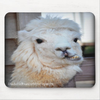 Lama Mousepad Muismat