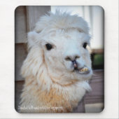 Lama Mousepad Muismat (Voorkant)