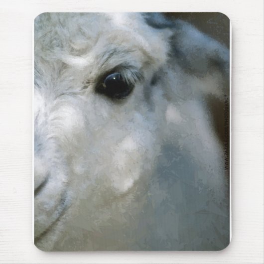 Lama Muismat (Voorkant)