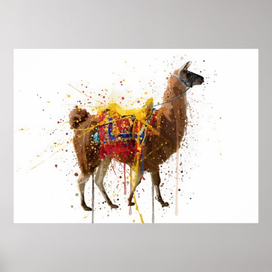 Lama Poster (Voorkant)