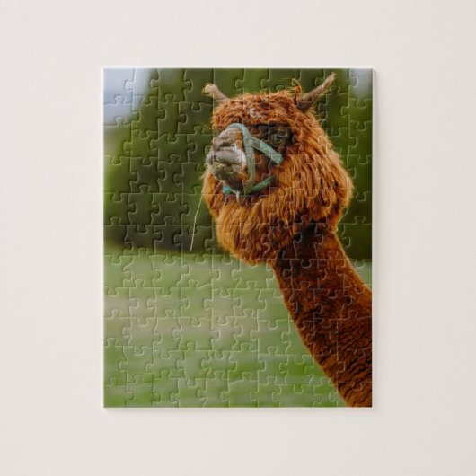 Lama Puzzel (Verticaal)