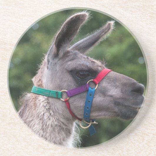 Lama Superioriteit Zandsteen Onderzetter (Voorkant)