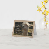 lama Verjaardagskaart Kaart (Gele Bloem)