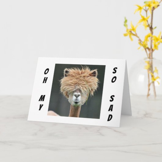 **LAMA WIL DAT JE "SNEL BETER WORDT!" KAART (Gele Bloem)