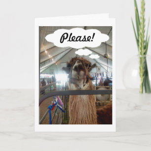 LAMA ZEGT: "ZEG ALSJEBLIEFT DAT JE OOK VAN MIJ HOU FEESTDAGEN KAART