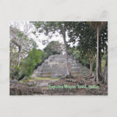 Lamanai Mayan Ruins Belize Briefkaart (Voorkant)