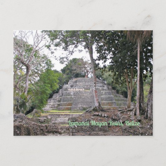 Lamanai Mayan Ruins Belize Briefkaart (Voorkant)