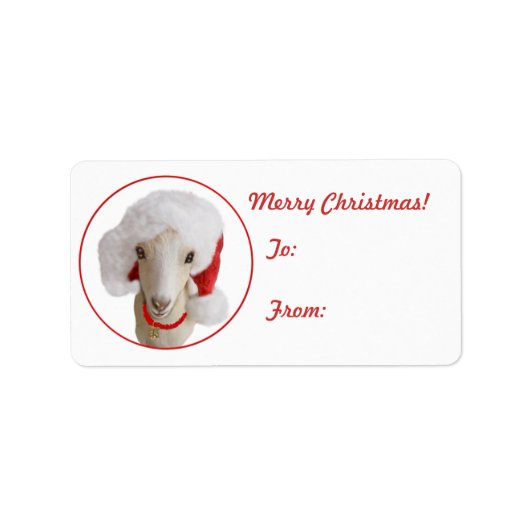 LaMancha Goat met kerstcadeau Label Sticker (Voorkant)