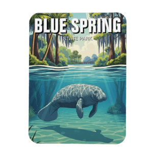 Lamantijn in Blue Spring State Park Magneet