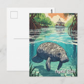 Lamantijn in Crystal River Florida Briefkaart (Voorkant / Achterkant)