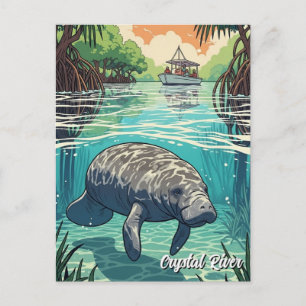 Lamantijn in Crystal River Florida Briefkaart