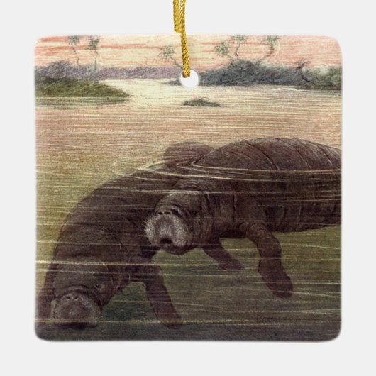  lamantijnen of Koeien van Zeeen, zeezoogdieren Keramisch Ornament (Voorkant)