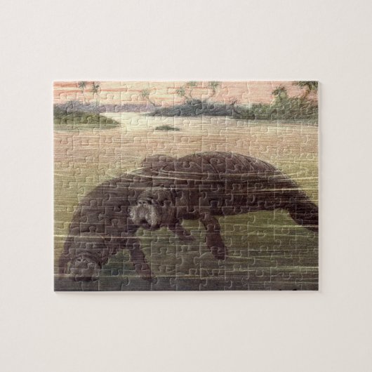  lamantijnen of Koeien van Zeeen, zeezoogdieren Legpuzzel (Horizontaal)