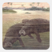 lamantijnen of Koeien van Zeeen, zeezoogdieren Vierkante Sticker (Voorkant)