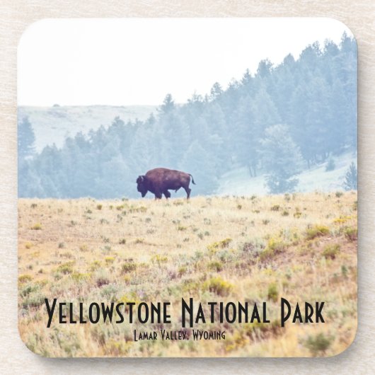 Lamar Bier Onderzetter (Voorkant)