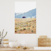 Lamar Poster (Keuken)